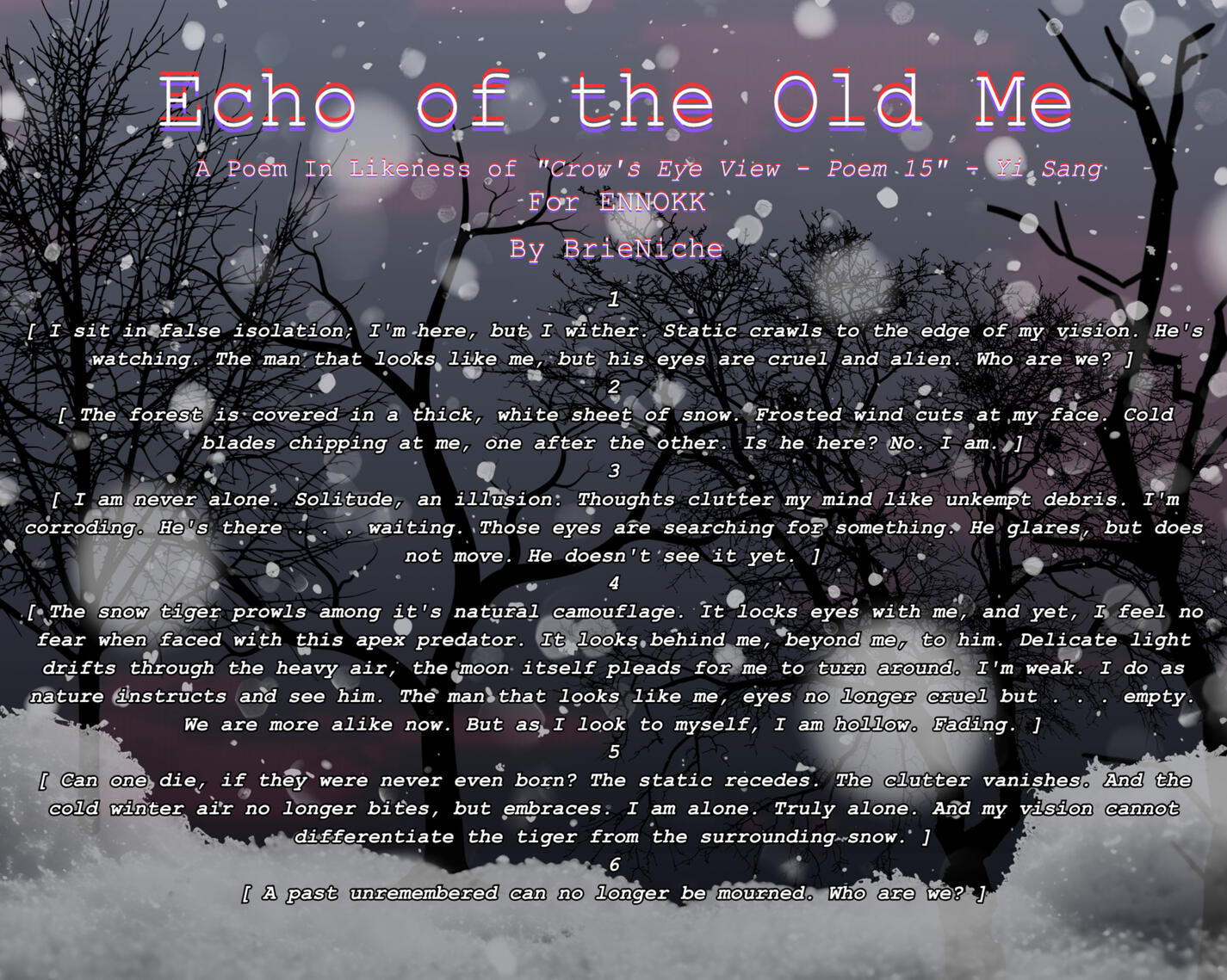 Echo of the Old Me [Poem in Likeness]